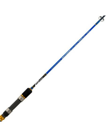 RAYFORCE XBR LIGHT JIGGING CINNETIC