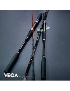 VEGA EGISTICK 2 10M 10-120G