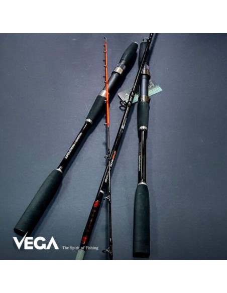 VEGA EGISTICK 1 80M 10-120G