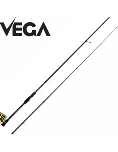 VEGA ANTRAX SP700 2 70MT 15-45GR